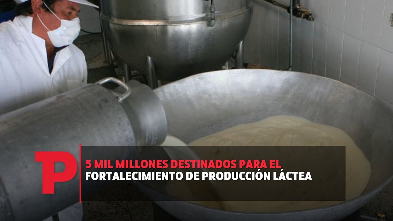 5 mil millones destinados para el fortalecimiento de producción láctea I03.09.2023I TP Noticias