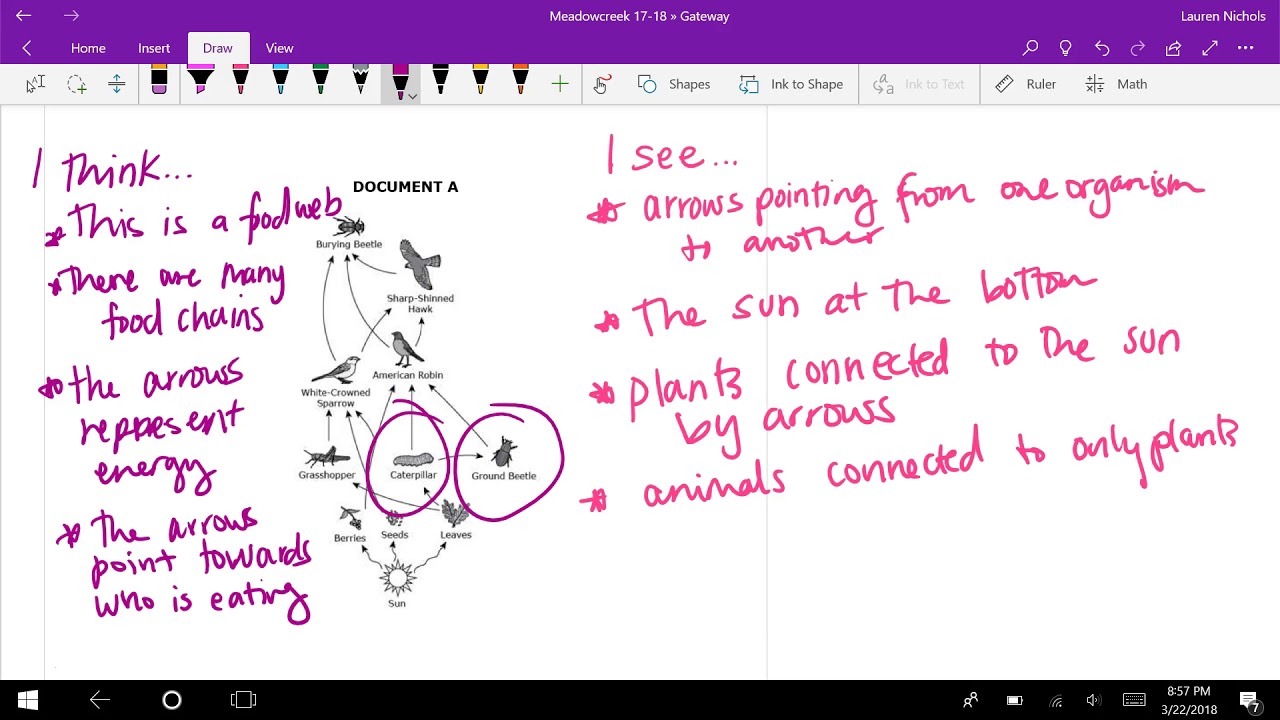 17-18 Gateway   Food Webs & Ecosystems