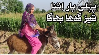Donkey riding in high speed 😲😮 | First time itna tez bhagi | Ride like horse riding