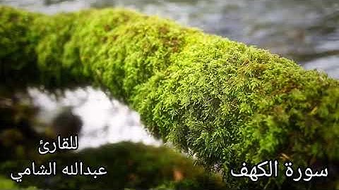 من أحسن قصص سورة الكهف | عبدالله الشامي