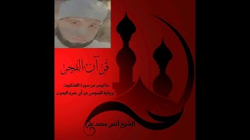 قرآن الفجر ما تيسر من سورة العنكبوت برواية السوسى عن أبى عمرو البصرى . الشيخ أنس محمد على