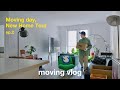 【Moving Vlog】引越し当日、新居ルームツアー | 荷解き、掃除、住んでいたアパート紹介 | 新しいインテリア | アメリカ駐在 | 30代男
