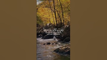 وَمِنْ آيَاتِهِ يُرِيكُمُ الْبَرْقَ خَوْفًا وَطَمَعًا | #quran #قرآن #تلاوة_خاشعة #عبدالله_الموسى