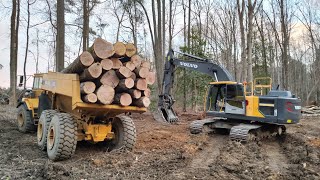 Big Trees To Remove For The New Farm Pond