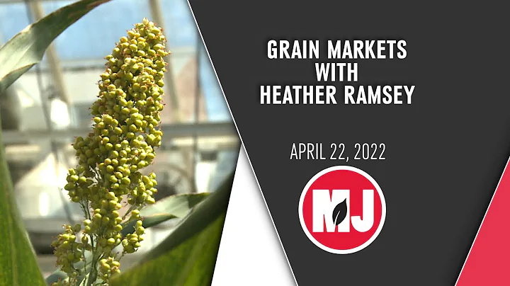 Grain Markets | Heather Ramsey | April 22, 2022