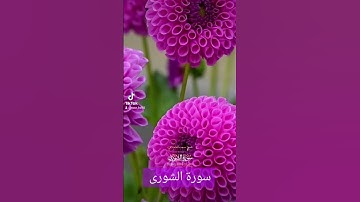 سورة الشورى #quran #اكسبلور #دويتو #duet #دعاء #دعاءمستجاب #تيك_توك #صباحالخير #answer #لايك