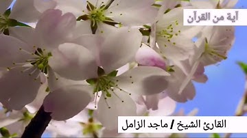 تلاوة خاشعة للشيخ ماجد الزامل من سورة إبراهيم