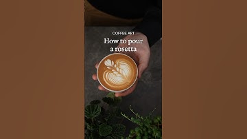 How to pour a Rosetta