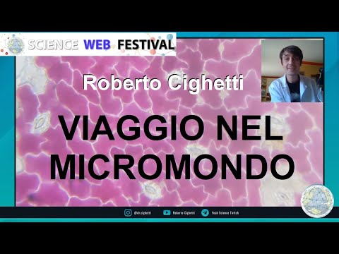 Video: Cos'è Il Micromondo?