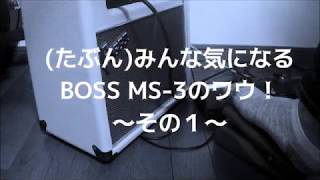 BOSS MS-3 ワウサウンド part1