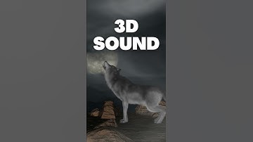 Thumbnail of Wolf Howl 3d sound effect