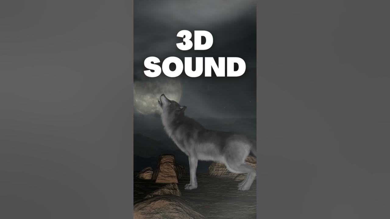 Wolf Howl 3d sound effect Wolf Howl 3d sound effect