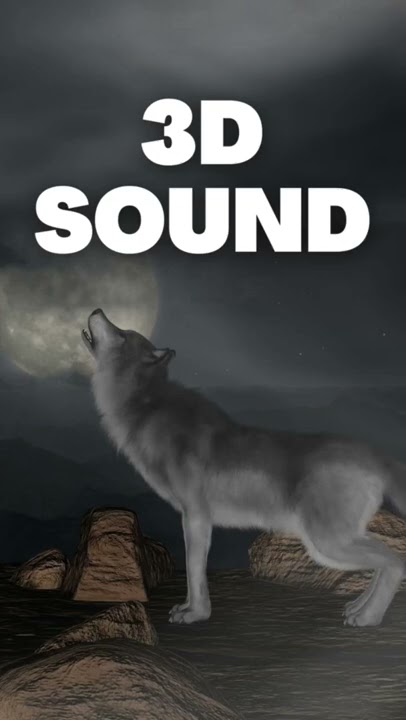 Wolf Howl 3d sound effect