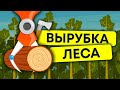 Массовое уничтожение леса. Лесные пожары. Чрезмерная вырубка деревьев. Экология | 13+