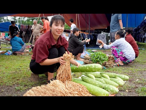 Ana harvest gourds and dried radishes Go to market sell | 3 year living off grid in forest