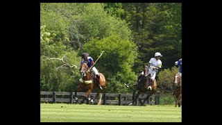 How to do a neck shot in polo