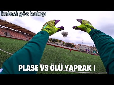 KALECİ GÖZÜNDEN PLASE VS ÖLÜ YAPRAK !