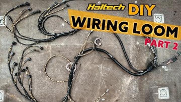 I made a race-spec wiring loom using Haltech premium harness. Part 2