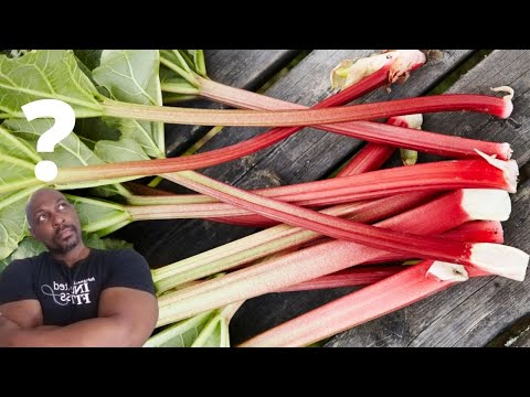 Is Rhubarb Good for You?