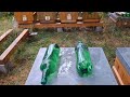 Včely 3.8.2025 Písecko zapomenou lupičky po 14 dnech zavření vylupovaného oddělku na loupení?