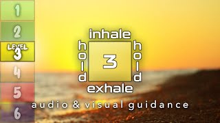 Guided Box Breathing With Audio And Visual Cues Level 3 Square Breathing