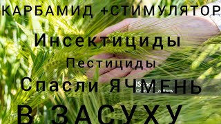 КАРБАМИД +СТИМУЛЯТОР РОСТ  2часть11 мая 2024 г.