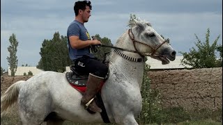 Ulugbekda Uloqchi Ot