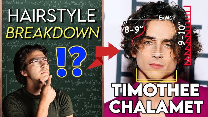 The Evolution of Timothée Chalamet's Hair - PureWow