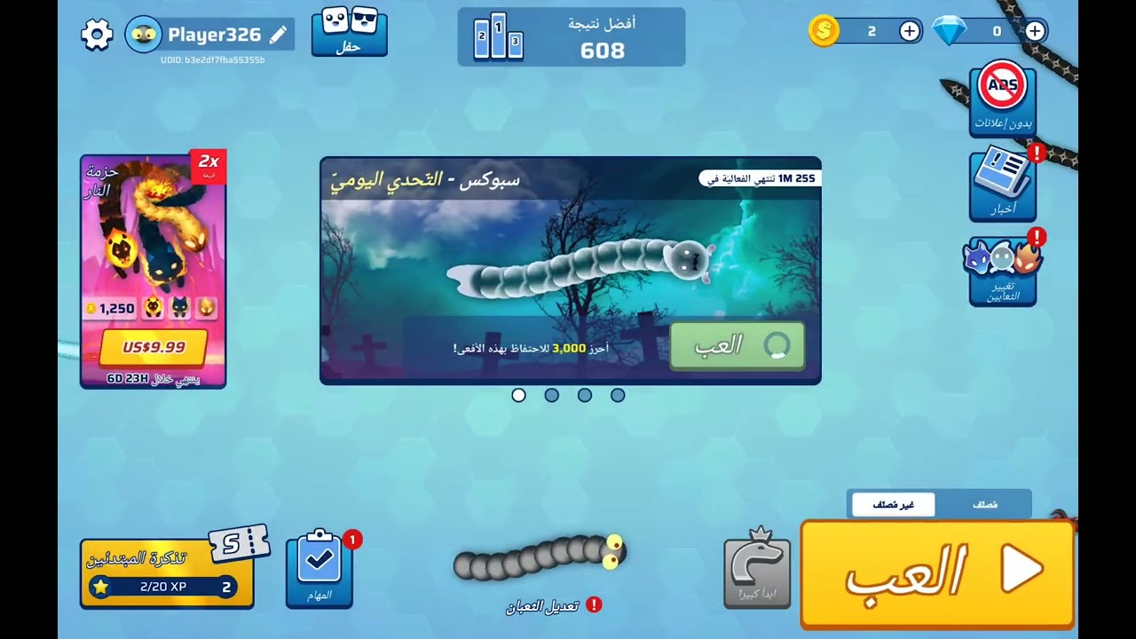 ١١ فبراير ٢٠٢٦