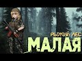 Выдвигаемся в самое опасное место в зоне - Малая - S.T.A.L.K.E.R RP (Сталкер РП) - Dayz -