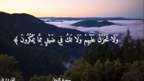 {وَاصْبِرْ وَمَا صَبْرُكَ إِلَّا بِاللَّهِ ۚ}                                      [#سورة_النحل ١٢٧]