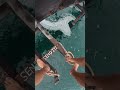 Extreme Rope Swing POV With Osmo Action 5 Pro