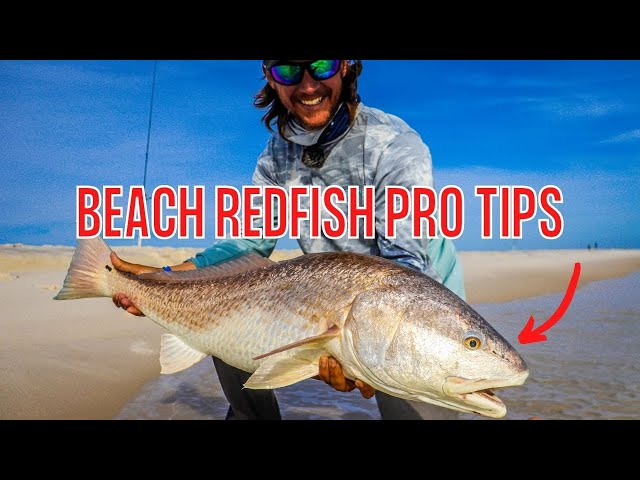 Pro Tips On How To Catch Beach Redfish with Bama Beach Bum 