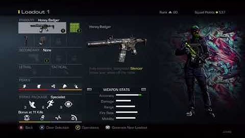 World highest KD on Call Of Duty Ghosts: First Prestige stats