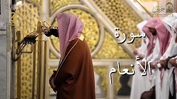 سورة الأنعام | المصحف الصوتي والمرئي من صلاتي التراويح والتهجد بالمسجد النبوي لعام 1446هـ.