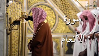 سورة الأنعام | المصحف الصوتي والمرئي من صلاتي التراويح والتهجد بالمسجد النبوي لعام 1446هـ.