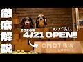 【星野リゾートOMO7横浜】愛犬家大注目のNEWオープンホテルは驚愕の内容だった