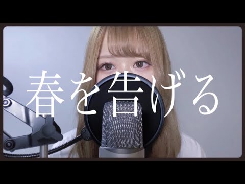 春を告げる Cover / らと