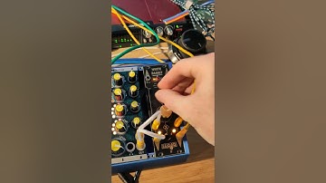 White Rabbit 🐇 sing down the rabbit hole