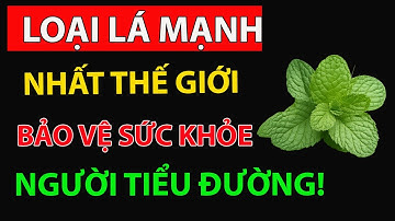 PHÉP LẠ! 1 Lá TIÊU DIỆT BỆNH TIỂU ĐƯỜNG, Cholesterol xấu và BỤNG MỠ!