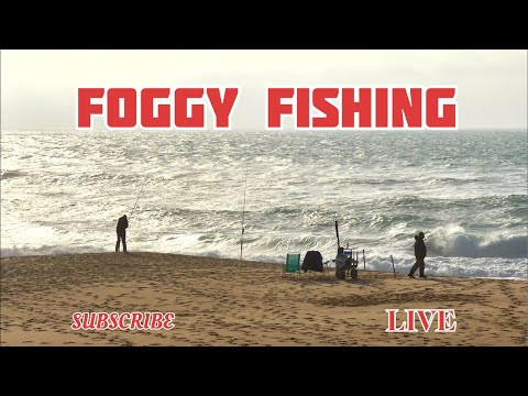 FOGGY FISHING | Global Village Live is live