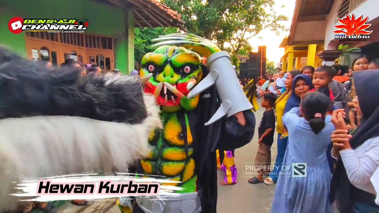 Pertarungan S4tokewan Buas - Burok Raja Narayana Terbaru Live Parereja Banjarharjo 8 April 2025