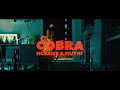 Mcbaise & Muthi - COBRA