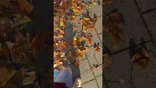 Walking on crispy leaves