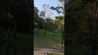 Wala | Prof.Ediriveera Sarathchandra Outdoor Theatre | University of Peradeniya | Sri Lanka