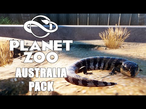 Видео: СИНЕЯЗЫКИЙ СЦИНК! (ФИНАЛ) #5 PLANET ZOO AUSTRALIA PACK ПРОХОЖДЕНИЕ