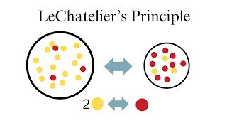 LeChatelier's Principle: How to Answer Equilibrium Questions: Chemical Equilibrium #7