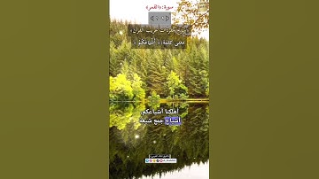معنى كلمة:(أشياعكم) ١٥٩-شرح مفردات غريب القرآن ،سورة القمر، الشيخ خالد الحرمي.