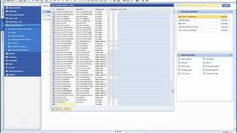 WORKING WITH USER DEFINED FIELDS IN SAP BUSINESS ONE