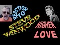 Steve Winwood / Higher Love / Reaction